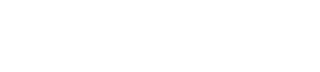 pioneer logo